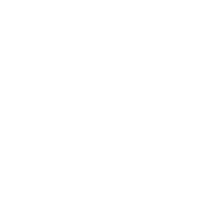 Bulmershe Boxing Club
