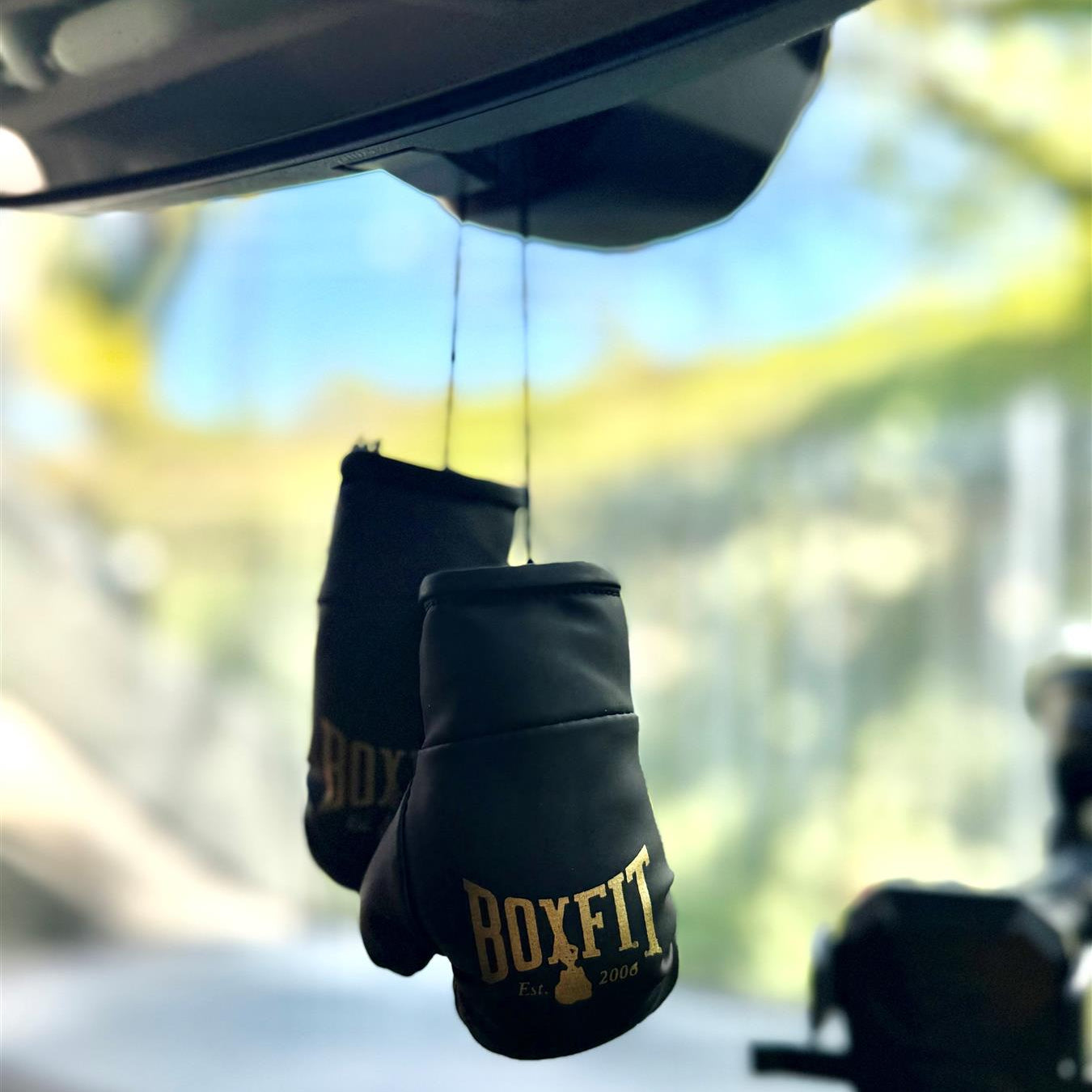 BOXFIT UK MINI BOXING GLOVES