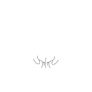 Wellingborough Boxing Club