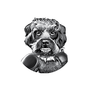 Wimborne ABC
