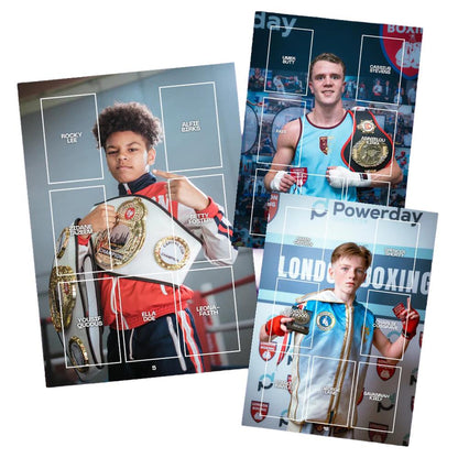 Boxing Mania Sticker Book