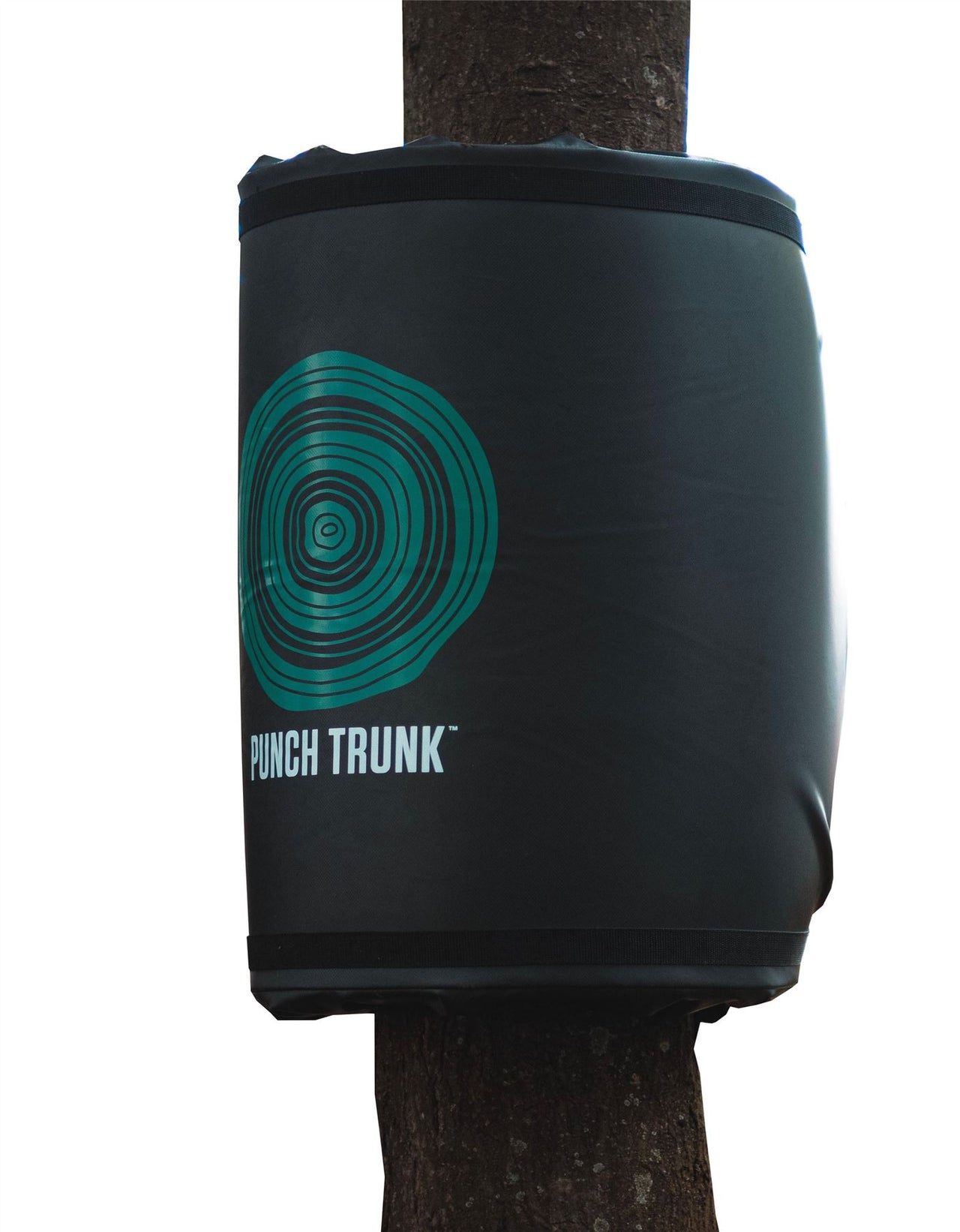 PUNCH TRUNK