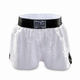 Miniature Boxing Shorts Desk Tidy - Ali