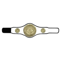 Thumbnail for Champion Belt Boxing Award