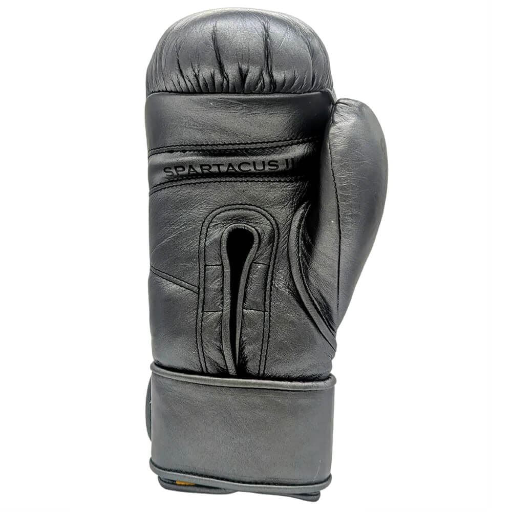 Empire Spartacus II Training Hook & Loop Gloves