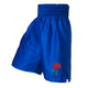 Woking Abc Boxing Shorts - Blue