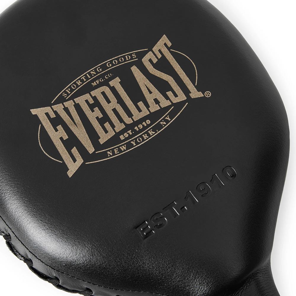 Everlast 1910 Striking Paddles