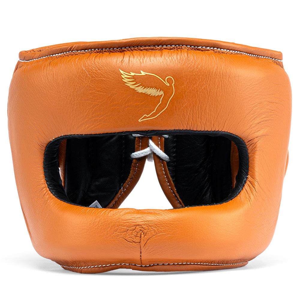 FLY SUPERBAR 2 HEADGUARD