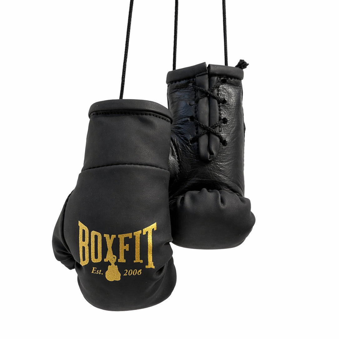 BOXFIT UK MINI BOXING GLOVES