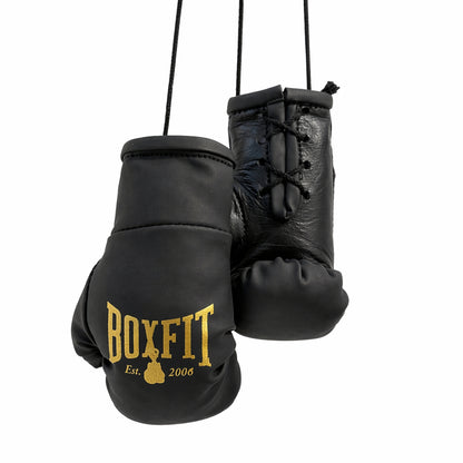 BOXFIT UK MINI BOXING GLOVES