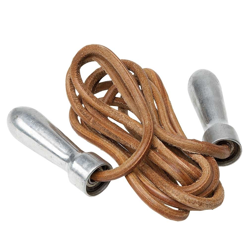 Pro Box Aluminium Handle Speed Rope