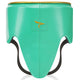 Phenom Boxing GP-252 Groin Guard - Green/Gold