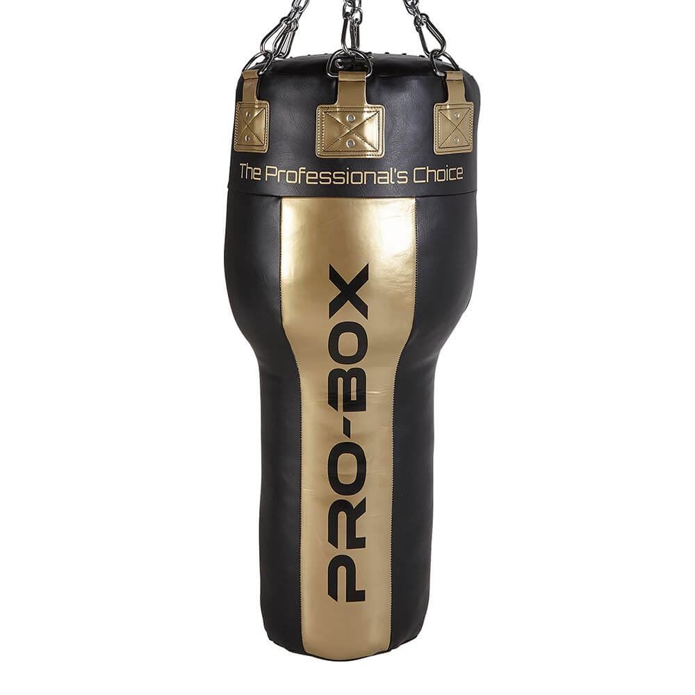 Pro Box Champ 4Ft Angle Punch Bag