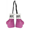 Cleto Reyes Mini Gloves - Pink