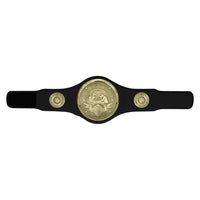 Thumbnail for Champion Belt Boxing Award