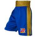 Southend Boxing Club Stripe Satin Boxing Shorts - Royal/Gold
