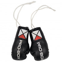 Thumbnail for PRO BOX LEATHER MINIATURE BOXING GLOVES II