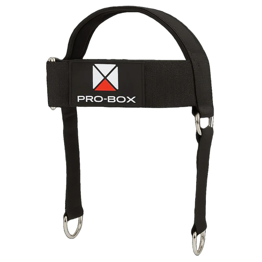 Pro Box Head Weight Harness