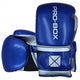PRO BOX CHAMP SPAR BOXING GLOVES II - Blue/Silver