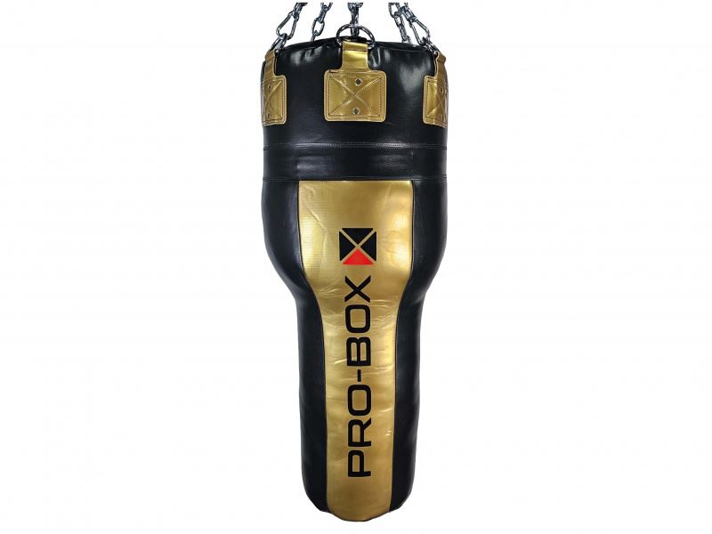 Pro Box Champ 4ft Angle Punch Bag II