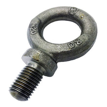 16Mm Self Colour Dynamo Steel Eye Bolt