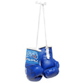 Rival Mini Boxing Gloves - Blue