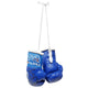 Rival Mini Boxing Gloves - Blue