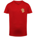 Albion Boxing Academy Kids Dri-Fit T-Shirt - Red
