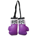 Cleto Reyes Mini Gloves - Purple