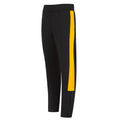 Sport Karate Slim Fit Tracksuit Pants - Black/Gold