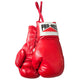 Pro Box Autograph Glove - Red