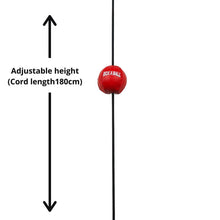 Boxaball Mini Floor To Ceiling Ball