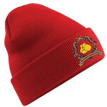 Brookside Bc Wooly Hat
