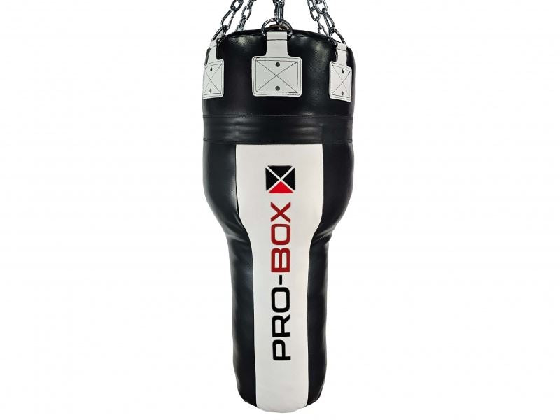 Pro Box Champ 4ft Angle Punch Bag II