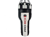 Thumbnail for Pro Box Champ 4ft Angle Punch Bag II