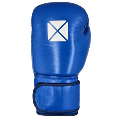 PRO BOX LEATHER ESSENTIAL HOOK & LOOP BOXING GLOVES II