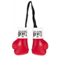 Cleto Reyes Mini Gloves - Red